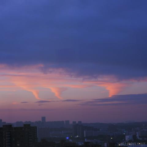 AAA加瓦咖啡批发老陈于2023-07-15 22:22发布的图片