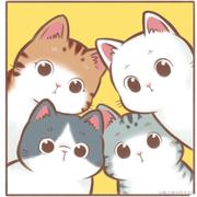 崽崽不吃鱼的个人资料头像