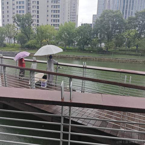 伪电气白兰地于2023-06-25 19:50发布的图片