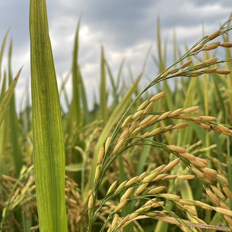 web孤独患者于2023-07-12 14:12发布的图片