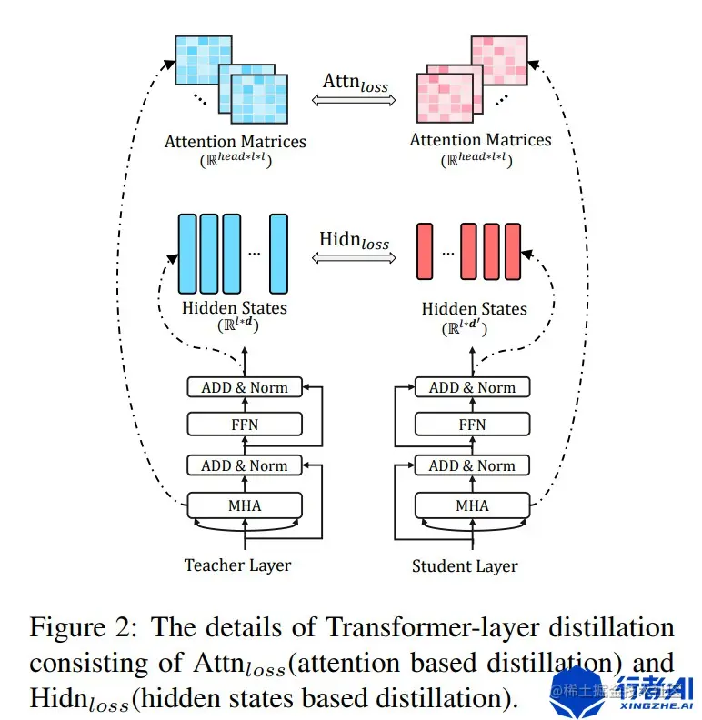 tinyBert分层蒸馏图