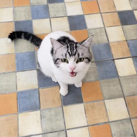 程序猿秃头之路于2021-12-14 12:39发布的图片