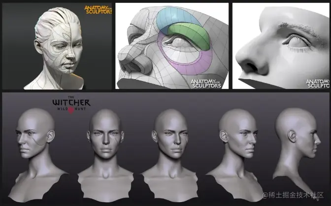 参考教程《Anatomy For Sculptors》 - 瑞云渲染