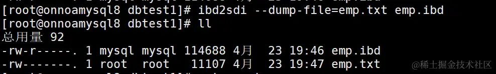 image-20240423195353243