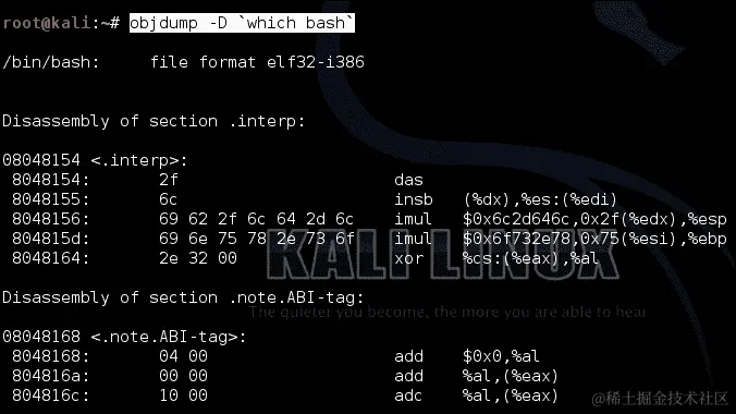 使用 Objdump 进行反汇编