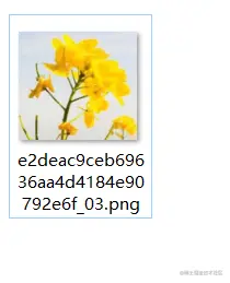 2021-03-13_221951.png