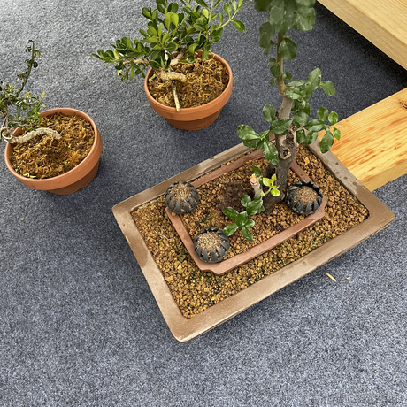 贝拉拉贝拉kira于2022-11-29 14:07发布的图片