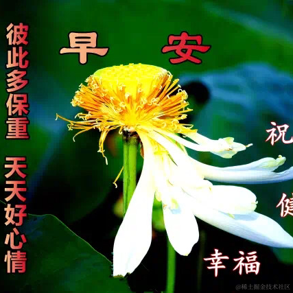 程序猿tx于2022-03-22 08:35发布的图片