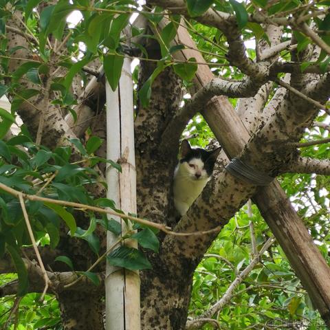 叮咚咚咚于2022-10-18 23:03发布的图片