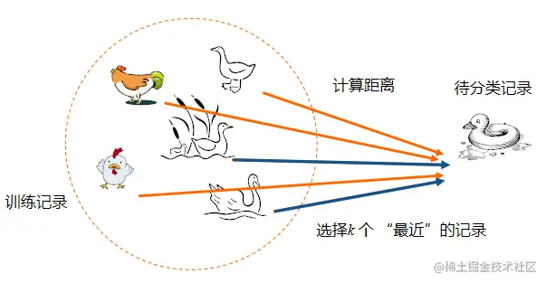 image-20220610155253267