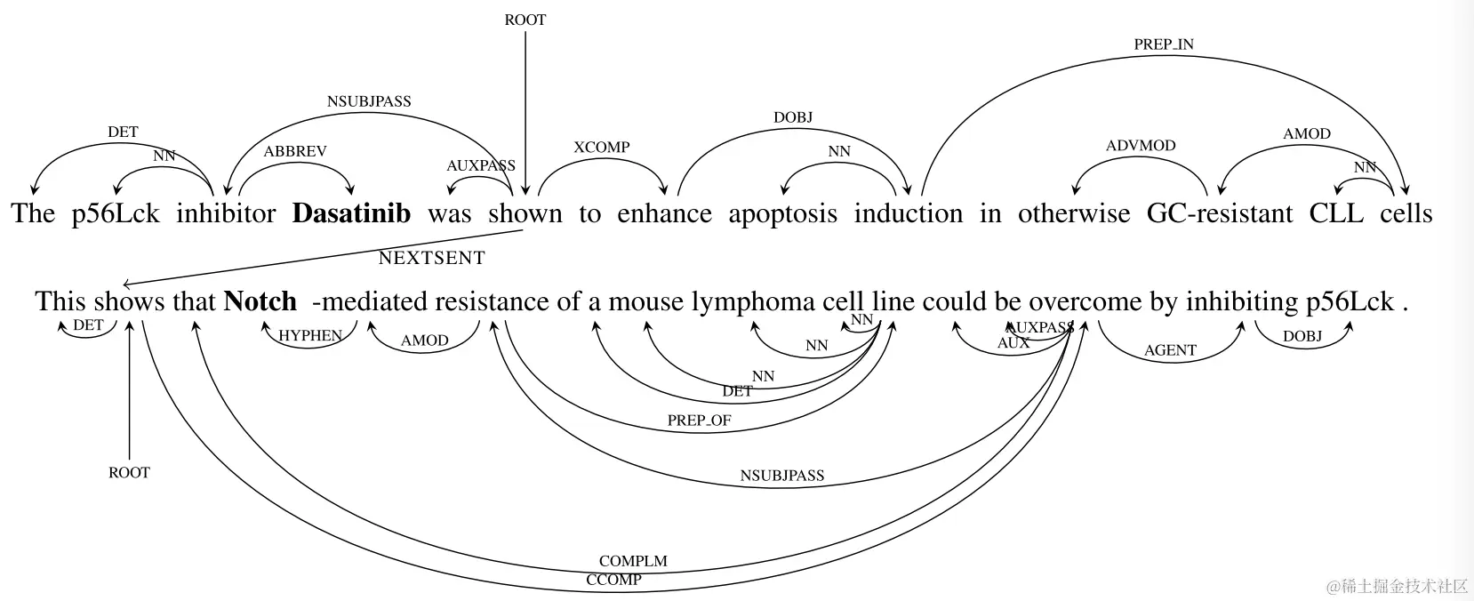 简化的两个句子间文档图结构