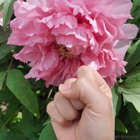 白令于2023-04-14 13:25发布的图片