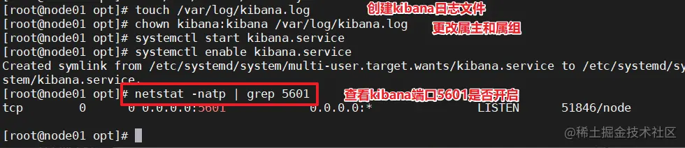 image-20220617022445019