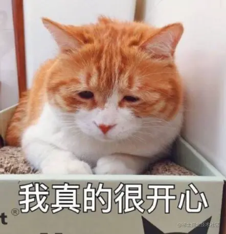 image-20210505160258942