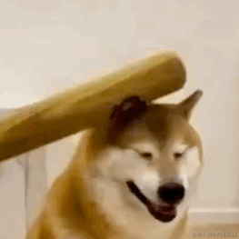 LoveKnowledge于2022-12-04 18:04发布的图片