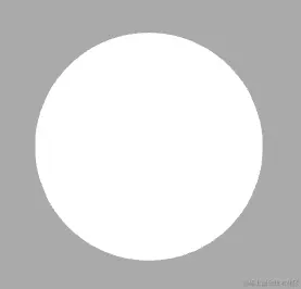 image-20230206091330767