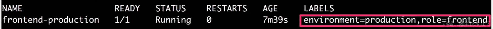 图 6.10：验证 frontend-production Pod 的标签
