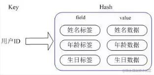 image-20211031160058515