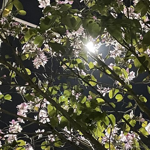 BUG404于2023-03-14 18:02发布的图片