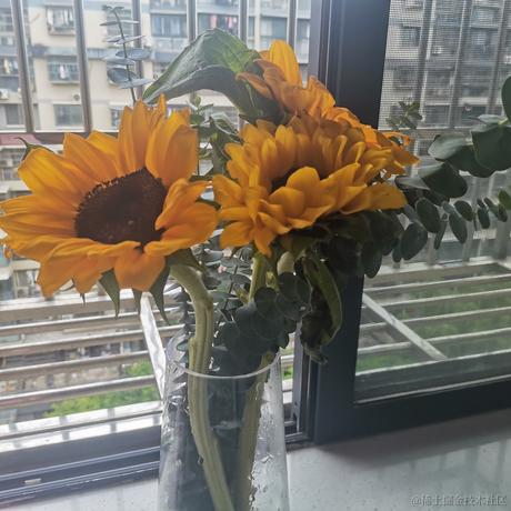 旺旺99于2023-05-15 15:24发布的图片