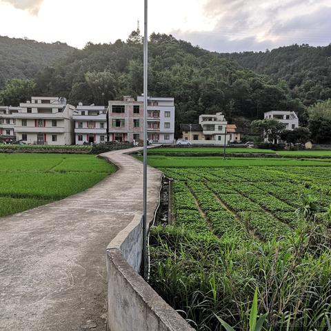 卢安娜的飓风于2023-05-04 09:03发布的图片