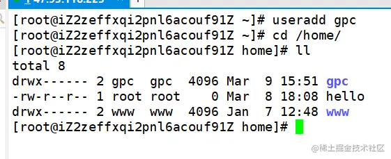 image-20220309155228574