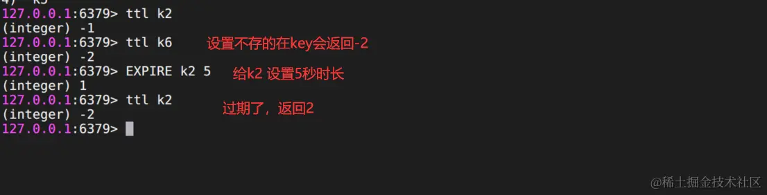 image-20230906211631076