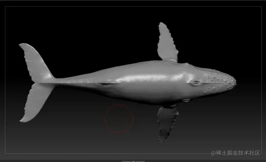 《Whale Rider》 - 瑞云渲染