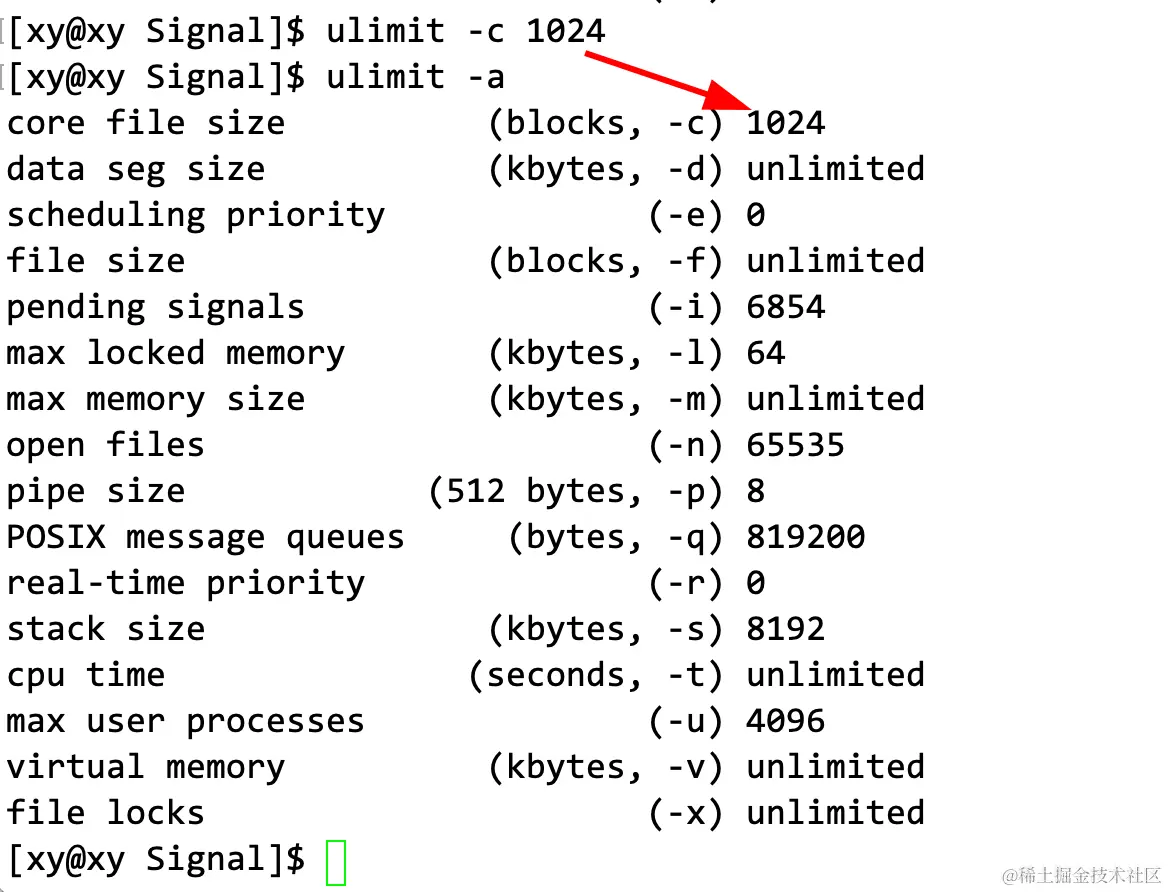 image-20230328170149299