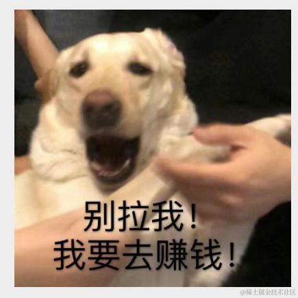 XTT于2021-12-24 19:52发布的图片