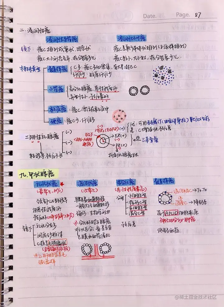 病理手写笔记.pdf
