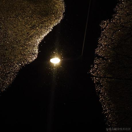 戴安娜小姐的狗于2023-07-05 14:36发布的图片