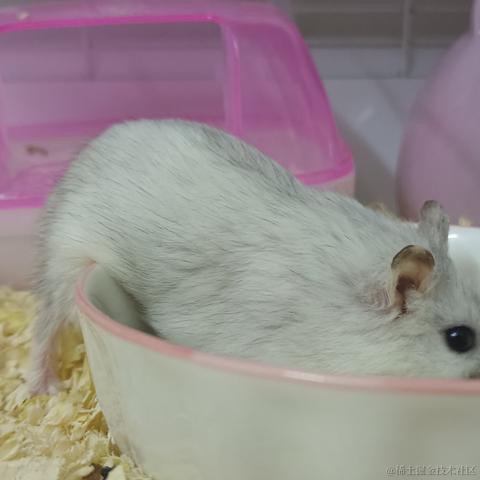 敲敲敲敲暴你脑袋于2023-11-11 13:52发布的图片