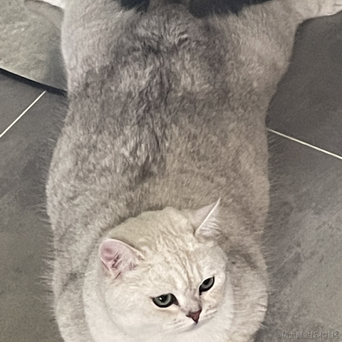 喵怼怼于2023-05-24 09:02发布的图片