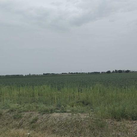 越南嘉心糖于2022-11-17 09:27发布的图片