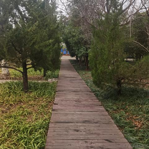 张立梵于2023-01-22 22:01发布的图片