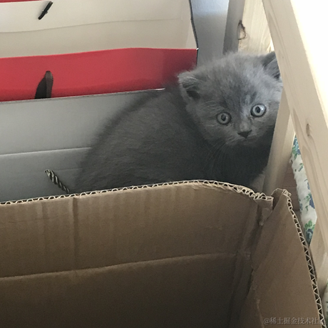 DD_于2023-05-24 10:09发布的图片