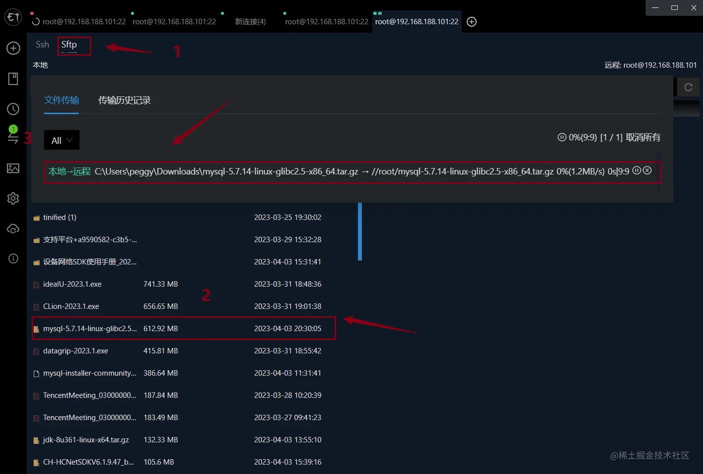 image-20230403214532272