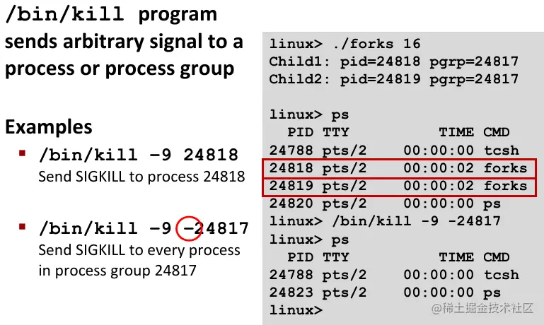 image-20220119141233949