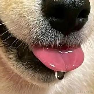 小镇小城于2022-12-07 09:47发布的图片