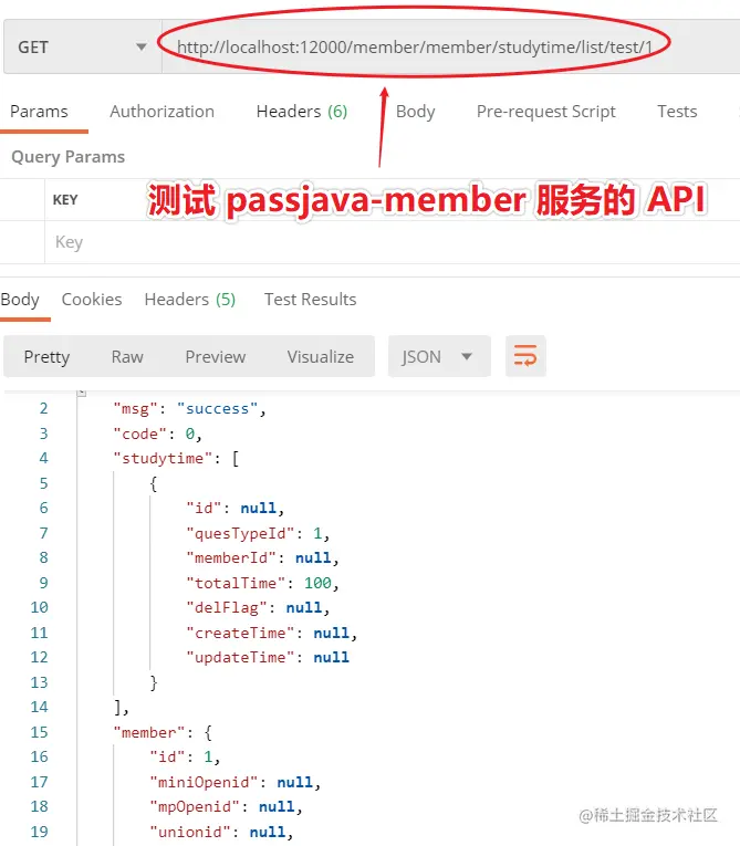 测试 Passjava-member 服务的 API