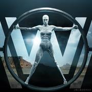 糖大虾米的个人资料头像