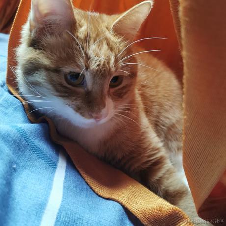 柒弎于2022-11-27 19:12发布的图片