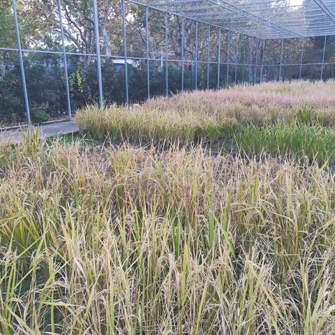 vavaAVA于2022-11-16 21:43发布的图片