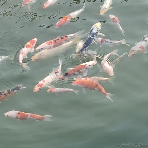 远远619于2022-11-20 10:29发布的图片