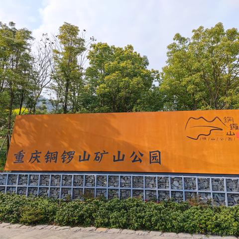 程序员柳随风于2023-03-14 13:57发布的图片