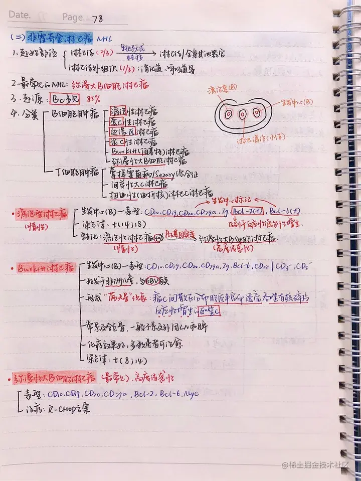 病理手写笔记.pdf