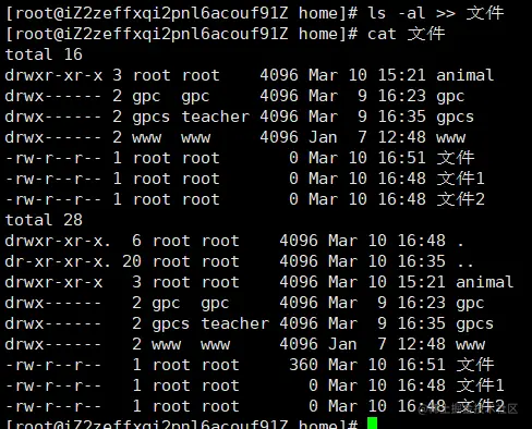 image-20220310165239736