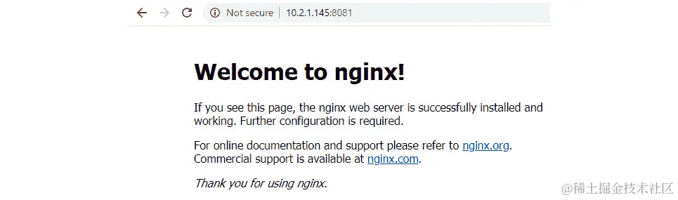 图 3.25 – 浏览示例到端口 8081 的 NGINX